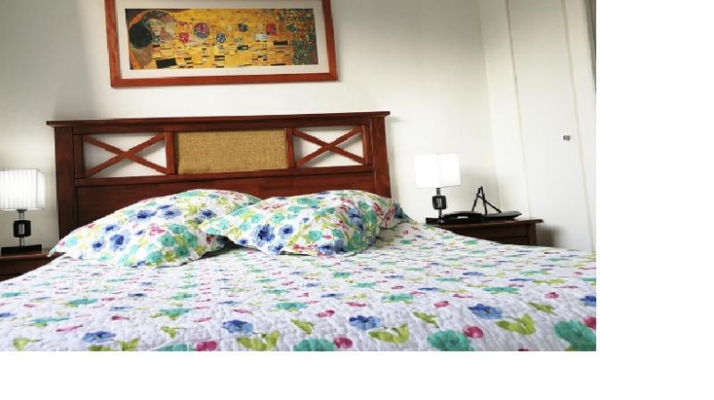 Plaza Paris Amistar Apartment ซานติอาโก ภายนอก รูปภาพ