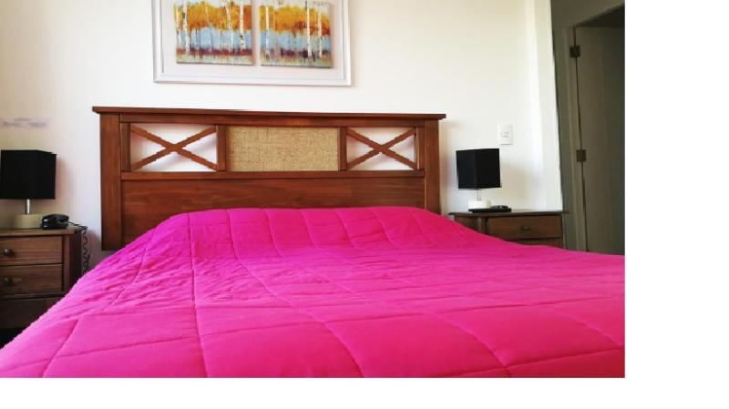 Plaza Paris Amistar Apartment ซานติอาโก ภายนอก รูปภาพ